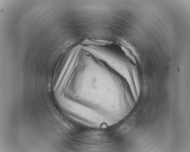 X0000089360065200707061059