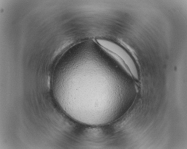 X0000089360067200707061100