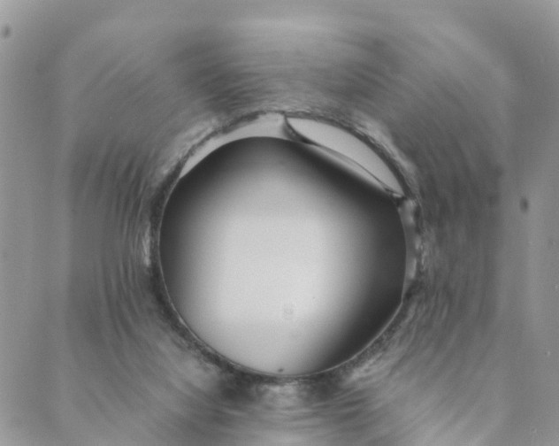 X0000089360068200707061100