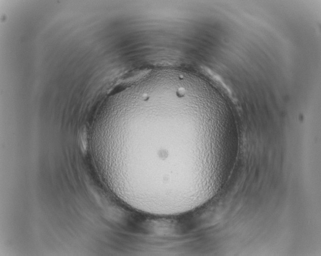 X0000089360069200707061100