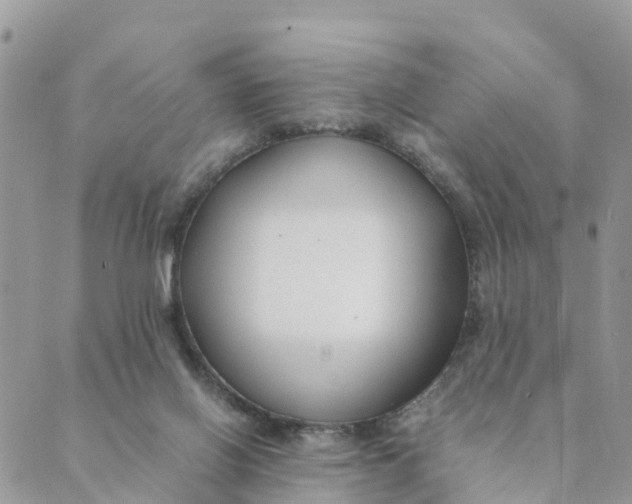 X0000089360070200707061100