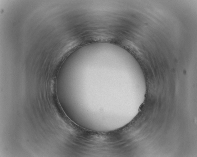 X0000089360071200707061100