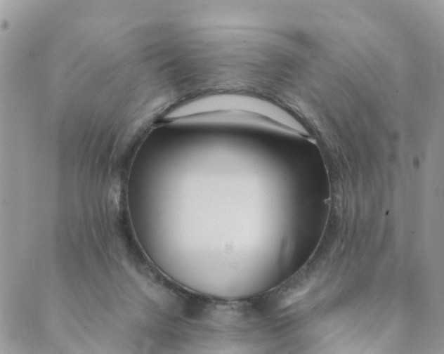 X0000089360072200707061100