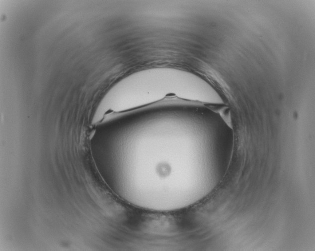 X0000089360073200707061100