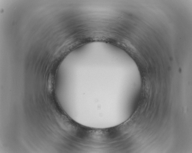 X0000089360074200707061100