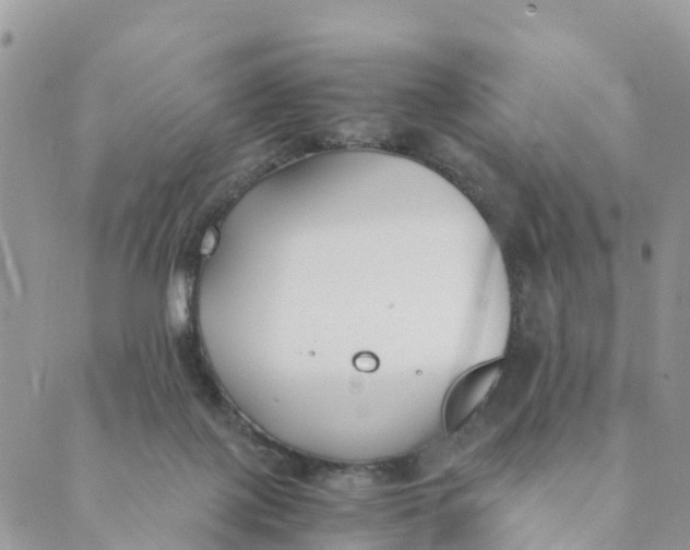 X0000089360075200707061100