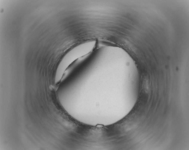 X0000089360076200707061100