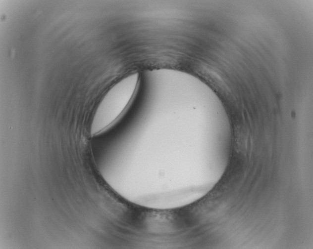 X0000089360077200707061100