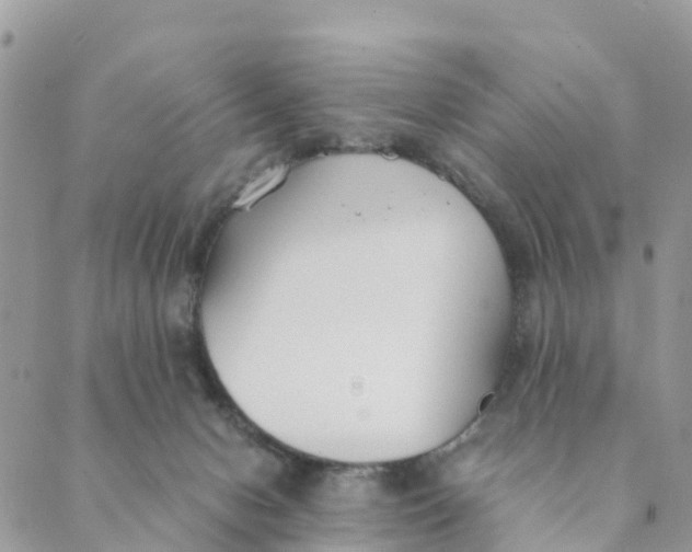 X0000089360078200707061100