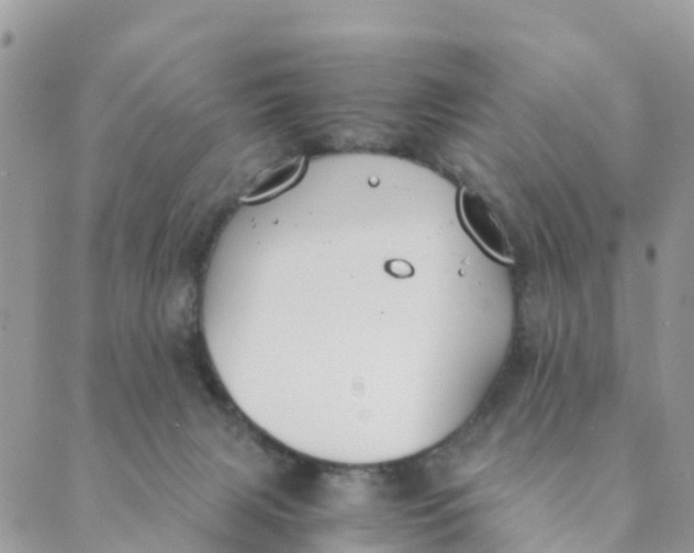 X0000089360079200707061100