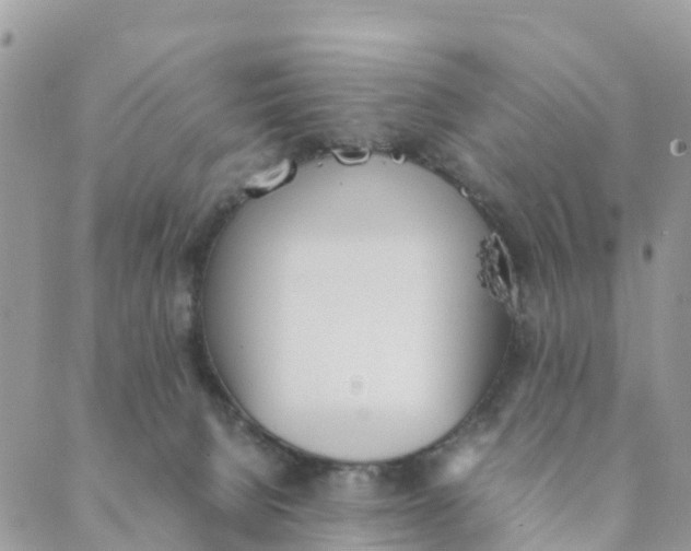 X0000089360080200707061100