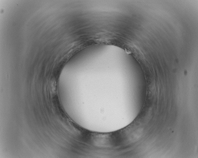 X0000089360081200707061100