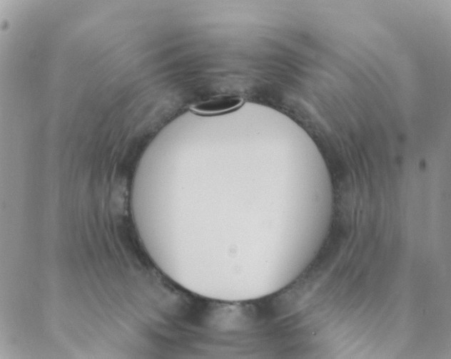 X0000089360083200707061100