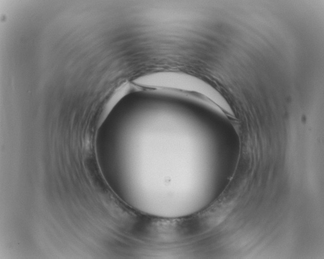 X0000089360084200707061100