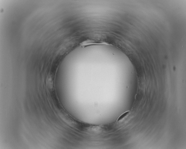 X0000089360086200707061100