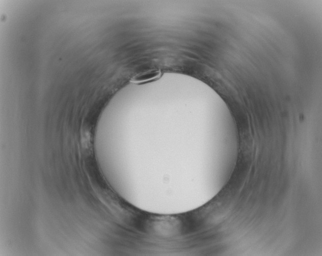 X0000089360087200707061100