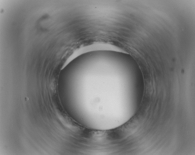 X0000089360088200707061100