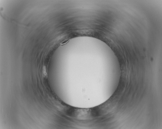 X0000089360089200707061100