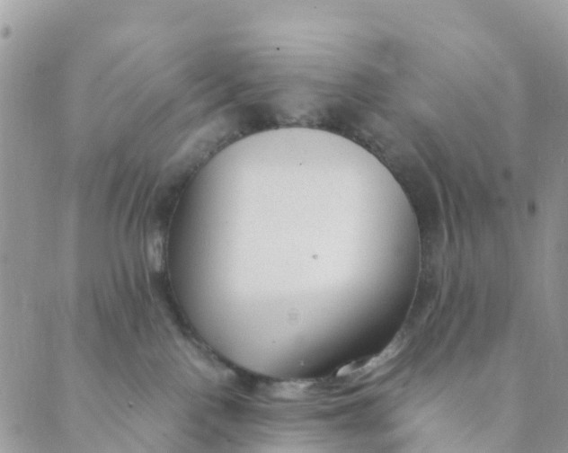 X0000089360090200707061100