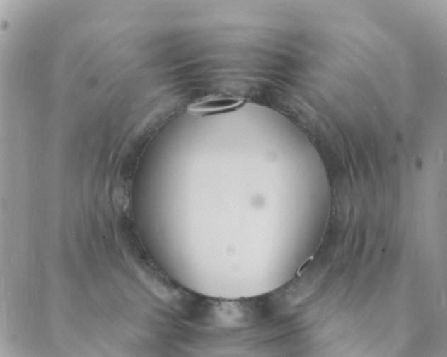 X0000089360091200707061100