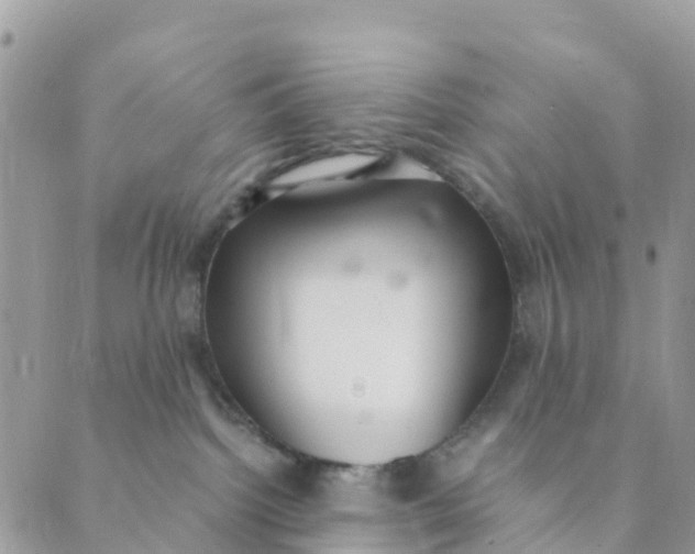 X0000089360092200707061100