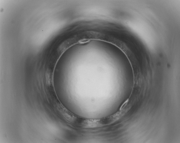 X0000089360093200707061100