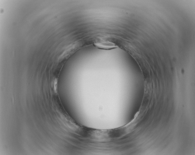 X0000089360094200707061100