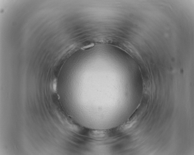 X0000089360095200707061100