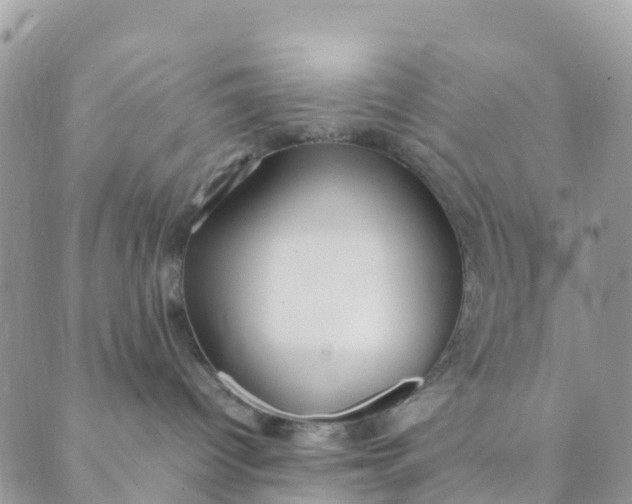 X0000089360096200707061100