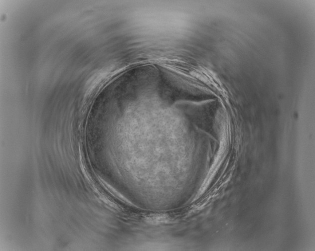 X0000089360097200707061059