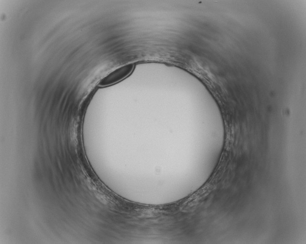 X0000089360098200707061059