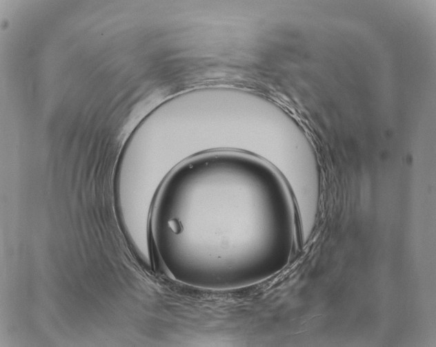 X0000089360099200707061059