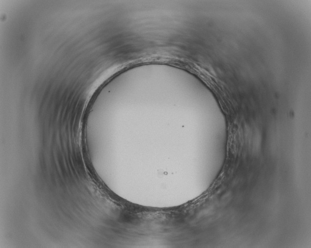 X0000089360100200707061059