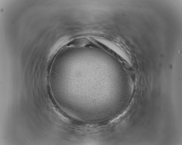 X0000089360101200707061059