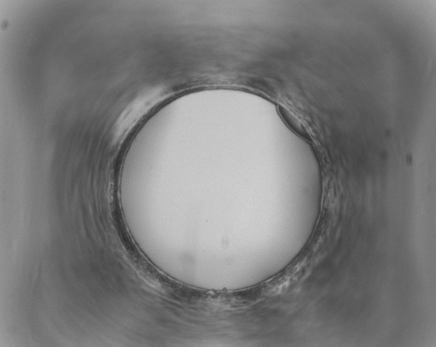 X0000089360103200707061059