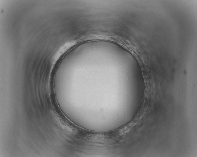 X0000089360104200707061059