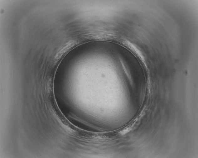 X0000089360105200707061059