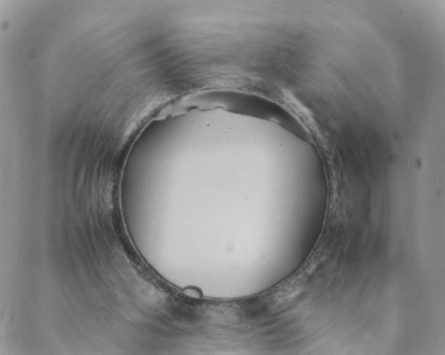 X0000089360106200707061059