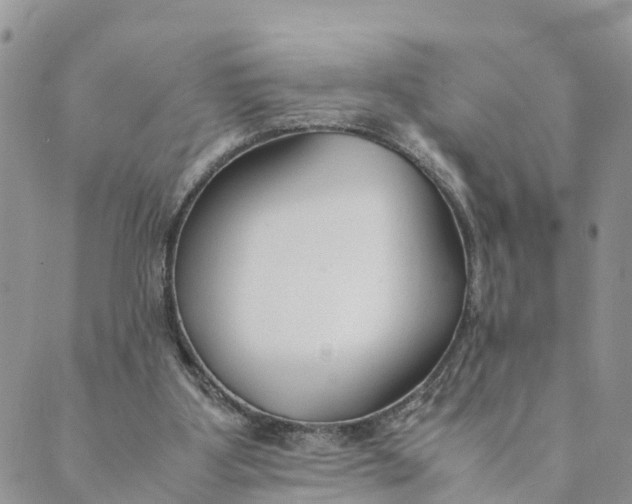 X0000089360107200707061059