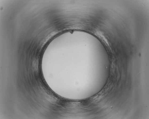 X0000089360108200707061059