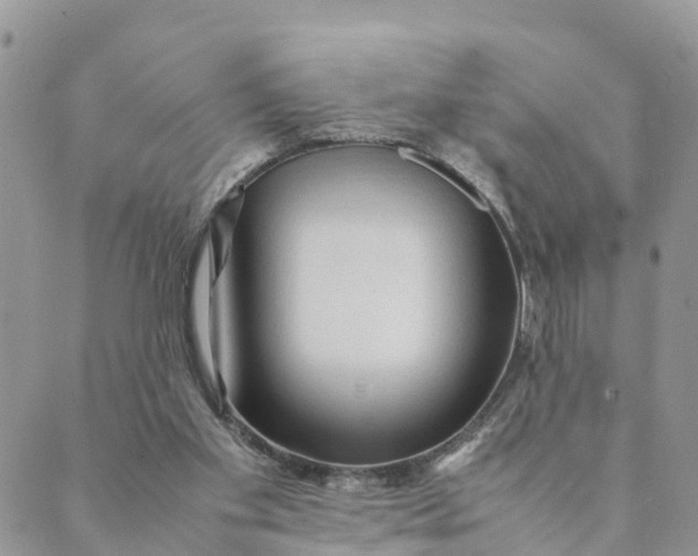 X0000089360109200707061059