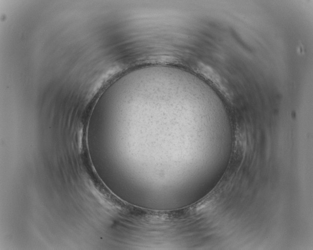 X0000089360110200707061059