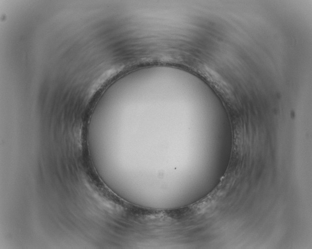 X0000089360112200707061059