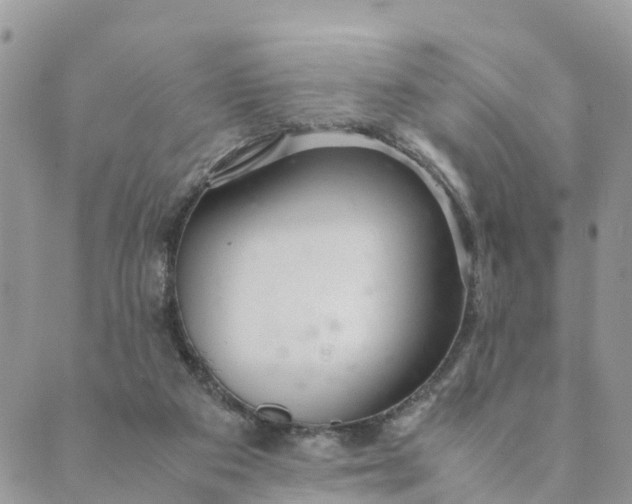 X0000089360113200707061059