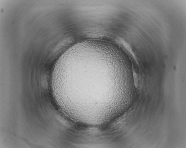 X0000089360114200707061059