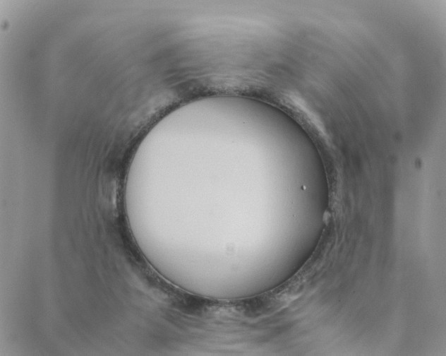 X0000089360115200707061059