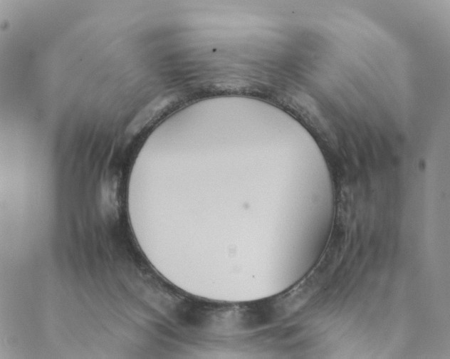 X0000089360116200707061059