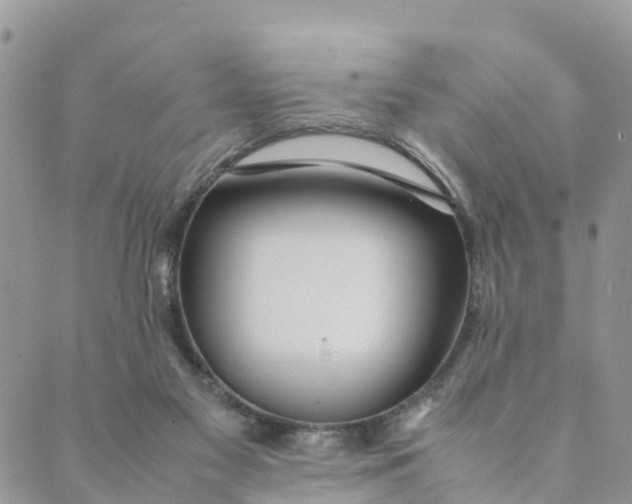 X0000089360117200707061059