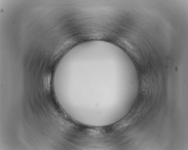 X0000089360118200707061059