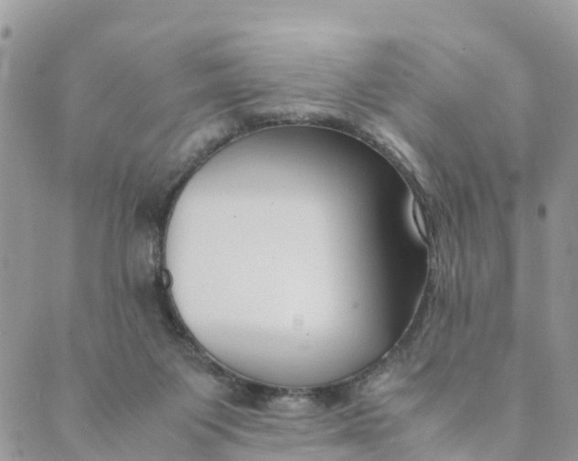 X0000089360119200707061059